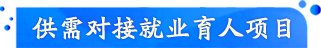 供需對接就業(yè)育人項(xiàng)目